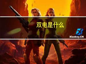 双电是什么