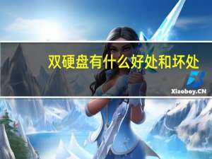 双硬盘有什么好处和坏处（双硬盘有什么好处）
