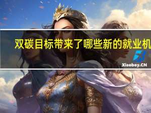双碳目标带来了哪些新的就业机会