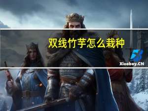 双线竹芋怎么栽种