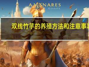 双线竹芋的养殖方法和注意事项