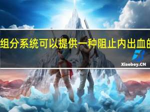 双组分系统可以提供一种阻止内出血的新方法