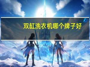 双缸洗衣机哪个牌子好
