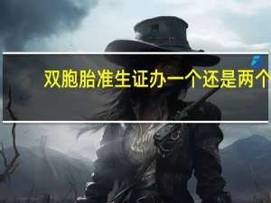双胞胎准生证办一个还是两个