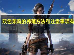 双色茉莉的养殖方法和注意事项有哪些