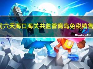 双节“前六天 海口海关共监管离岛免税销售金额10.1亿元