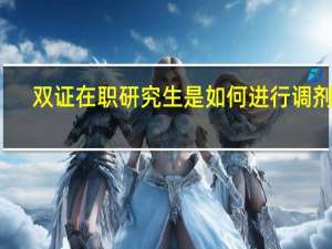 双证在职研究生是如何进行调剂的