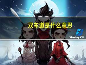 双车道是什么意思
