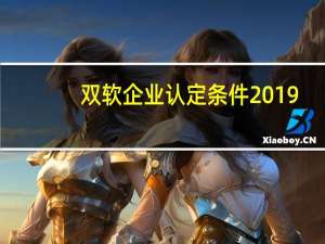 双软企业认定条件2019（什么叫 ldquo 双软 rdquo 企业）