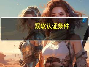双软认证条件