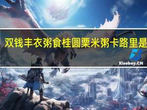 双钱 丰衣粥食桂圆栗米粥卡路里是多少