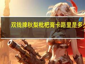 双钱 牌秋梨枇杷膏卡路里是多少