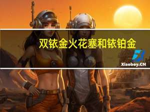 双铱金火花塞和铱铂金（铱金火花塞和铂金火花塞哪个好）