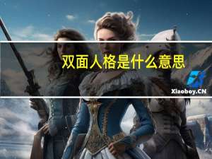 双面人格是什么意思