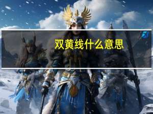 双黄线什么意思