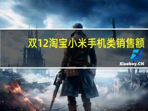 双12淘宝小米手机类销售额（双12淘宝销售额）