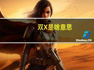 双X是啥意思