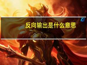 反向输出是什么意思