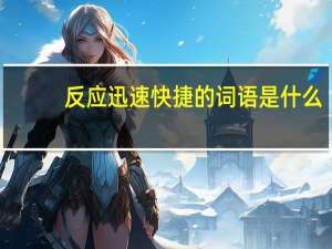 反应迅速快捷的词语是什么