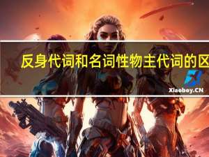 反身代词和名词性物主代词的区别