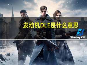 发动机DLE是什么意思