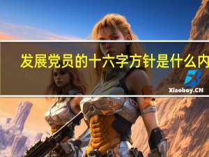 发展党员的十六字方针是什么内容（发展党员的十六字方针是什么）