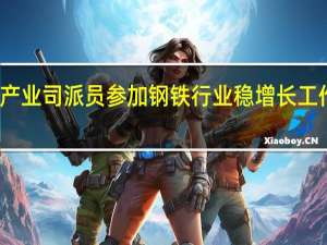 发改委产业司派员参加钢铁行业稳增长工作方案宣贯会