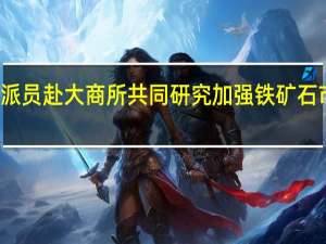 发改委派员赴大商所 共同研究加强铁矿石市场监管工作