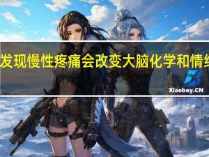 发现慢性疼痛会改变大脑化学和情绪调节