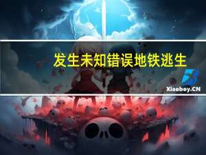 发生未知错误地铁逃生（发生未知错误11）