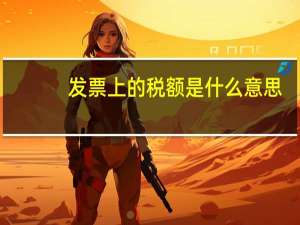 发票上的税额是什么意思