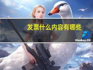 发票什么内容有哪些