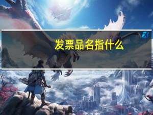 发票品名 指什么
