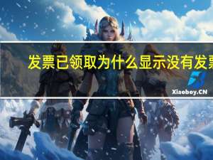 发票已领取为什么显示没有发票