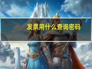 发票用什么查询密码