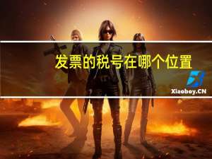 发票的税号在哪个位置