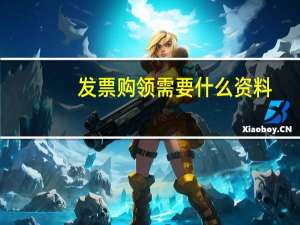 发票购领需要什么资料