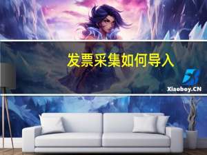 发票采集 如何导入