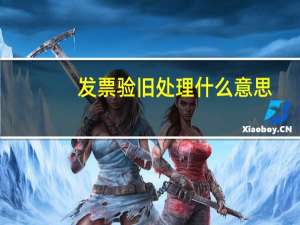 发票验旧处理什么意思