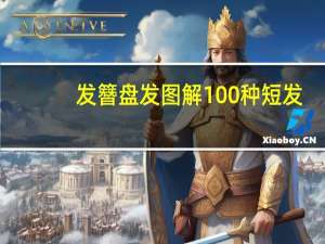 发簪盘发图解100种短发（发簪盘发图解）