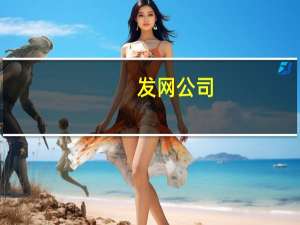发网公司（发网简介）