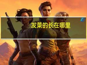 发菜的长在哪里