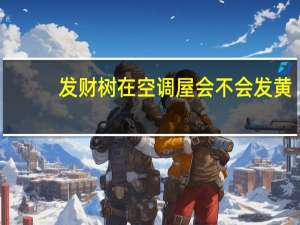 发财树在空调屋会不会发黄
