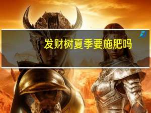 发财树夏季要施肥吗