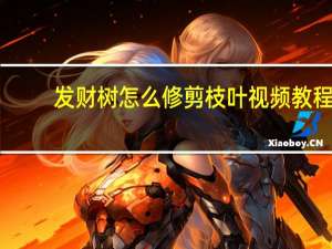 发财树怎么修剪枝叶视频教程