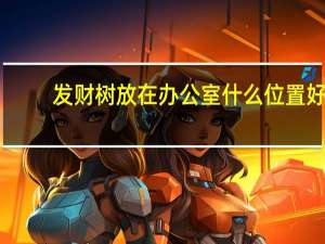 发财树放在办公室什么位置好