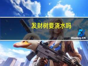 发财树要浇水吗