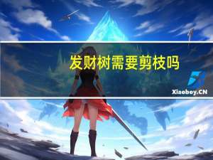 发财树需要剪枝吗