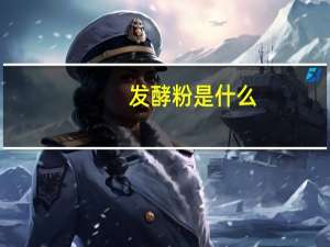 发酵粉是什么