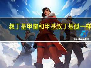 叔丁基甲醚和甲基叔丁基醚一样吗